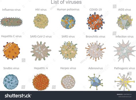 Types Viruses Names Vector Art 15: Vector có sẵn (miễn phí bản quyền) 1694766514 | Shutterstock
