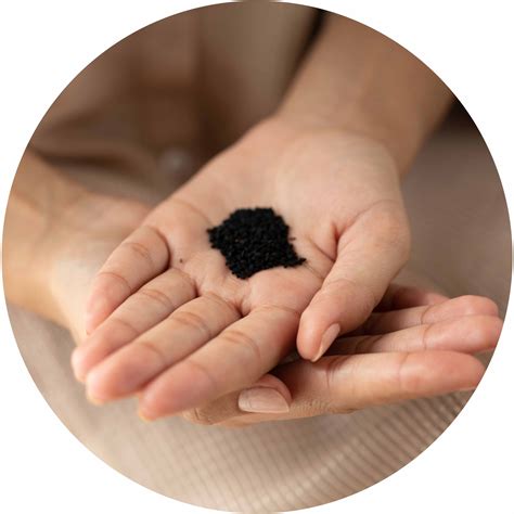 Black Cumin Oil Capsules | Ayurvedic Capsules – AYURVRIDHI