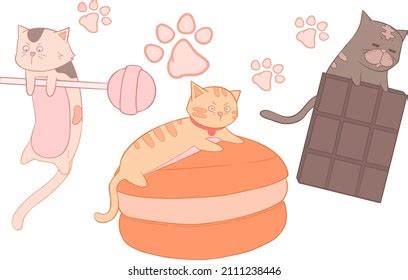 Image result for 3D License Paper