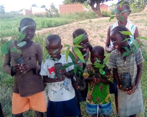 World Africa Day: Indian Initiative Brings Jobs, Trees, & Hope To ...