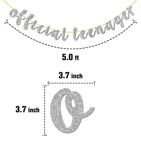 Buy Tenhaisi Sliver Official Teenager Banner For Boys or Girls 13th ...