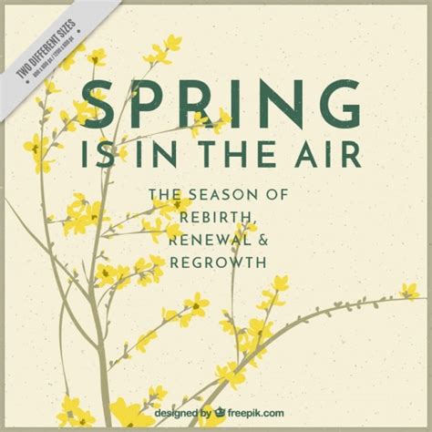 Hoa mai Vectors - Download Free High-Quality Vectors from Freepik | Freepik