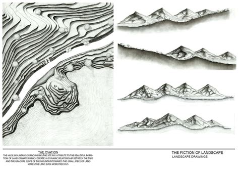 Into The Woods | CEPT - Portfolio