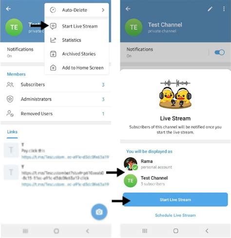 Image result for Telegram Streaming