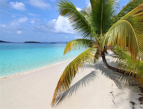 VIRGIN ISLANDS ECOTOURS (2025) All You Need to Know BEFORE You Go (with ...