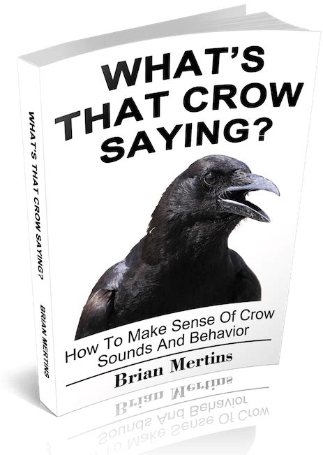 Image result for How to Program Crow