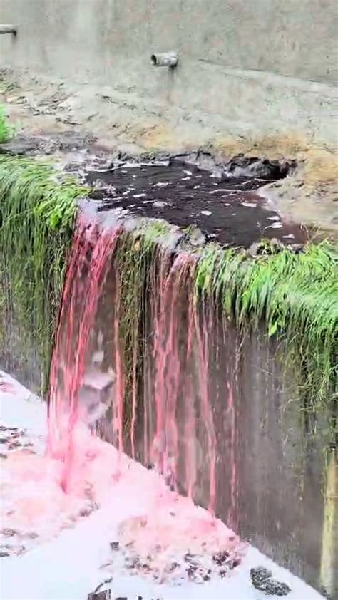 Contaminated water falls started flowing in Ankleshwar along with the ...