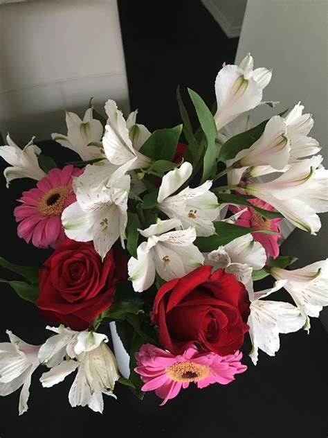 Flowers Giant Eagle at Laura Strong blog