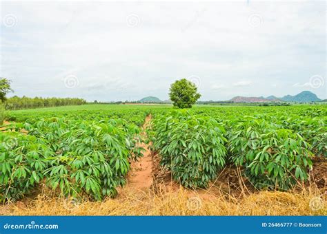 Image result for Program Code Visualization