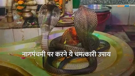 Nag Panchami Ke Upay: नाग पंचमी पर करें यह विशेष उपाय आर्थिक सफलता और ...
