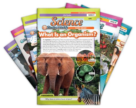 Science Studies 的图像结果