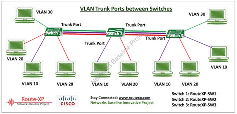 Download VLAN Explained | what is VLAN | VLANs | VLAN tagging | VLAN ...