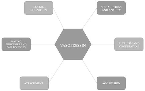 The Role of Oxytocin and Vasopressin in People with Borderline ...