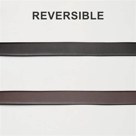 Equestrian Elite Belt – Gold Edition – Limited Edition