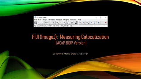 Image result for ImageJ Colocalization Coloc