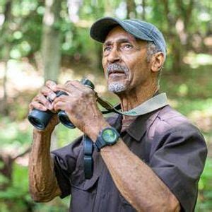 12th Annual Boreal Forest Bird Walk, Tamarack Hollow Nature & Cultural ...