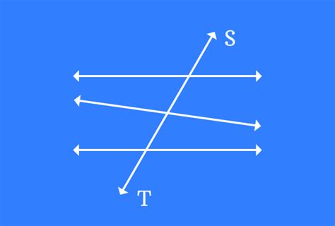 Image result for transversal