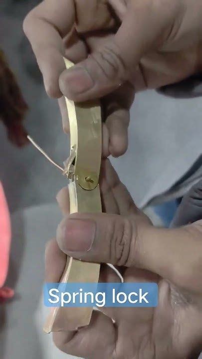 Image result for Spring Lock Bracelet