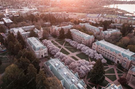 Premium Photo | Aerial view of the cherry blossoms of the university of ...