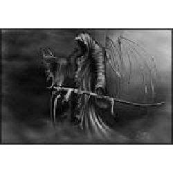 Ligth Boxing Set 的图像结果