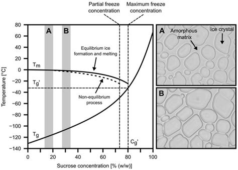 Quantitative Analysis of Glassy State Relaxation and Ostwald Ripening ...