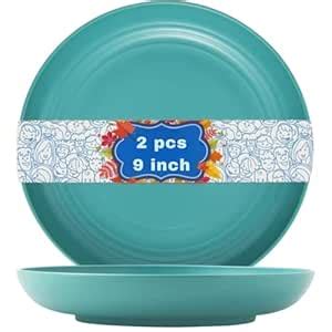 Buy Turbid 9 Inch Wheat Straw Plate, Unbreakable Dinner Plates Set of 2 ...