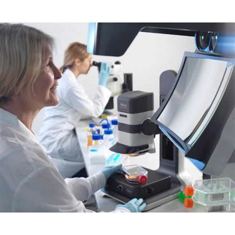 Stereo Microscope 的图像结果