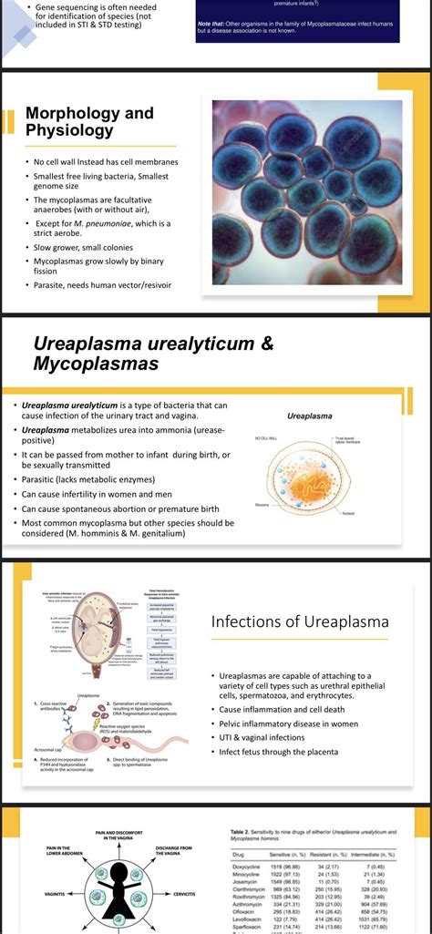 I made a PowerPoint about ureaplasma and mycoplasma for my microbiology ...