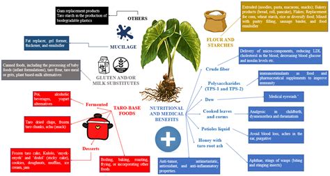 Taro Roots: An Underexploited Root Crop