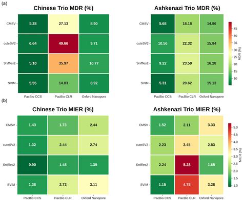 CMSV: Long-Read-Based Structural Variation Detection Through a CNN ...