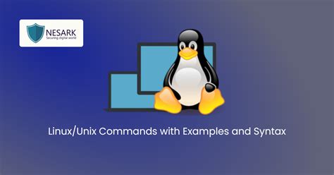 Image result for Unix Code Examples
