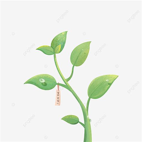 Image result for Sapling Transparent