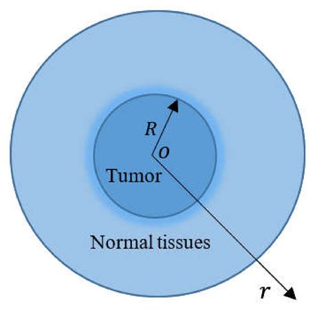 Heat Transfer in Biological Spherical Tissues during Hyperthermia of ...