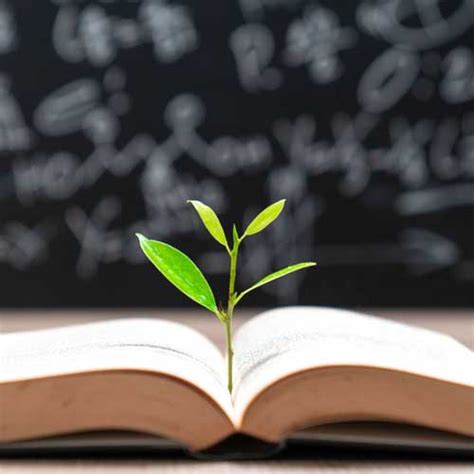 MGM University, Chh. Sambhajinagar | Multidisciplinary NEP 2020 Aligned ...