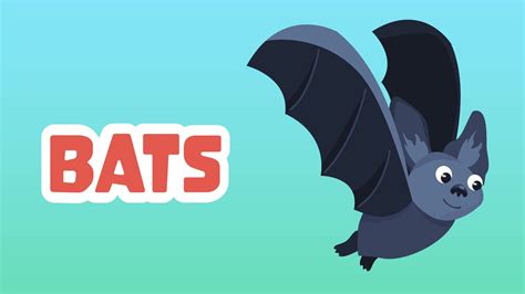 Bats Facts for Kids - 5 Brilliant Facts about Bats - LearningMole