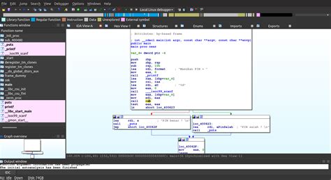 IDA Pro Reverse Engineering Tutorial 的图像结果