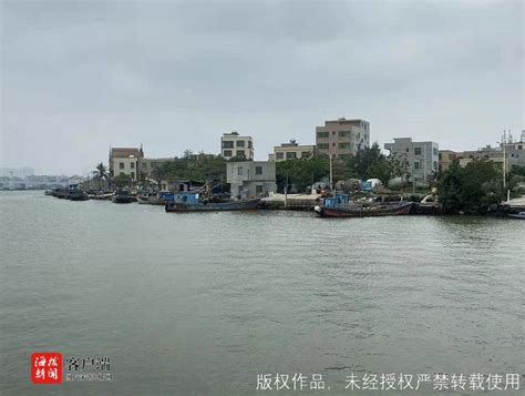 海口三联村，坐落在南渡江入海口……
