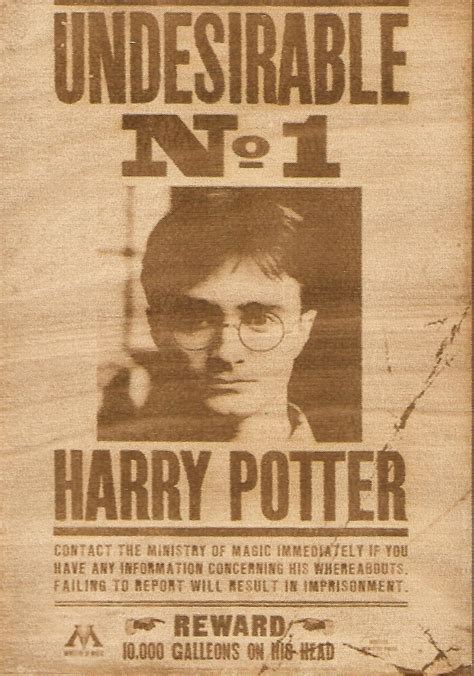 Harry Potter - Harry Potter (Undesirable No. 1) Wooden Wanted Poster ...