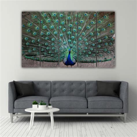Shop Peacock-tacular Multi-Frame Framed Wall Art That'll Make Your ...