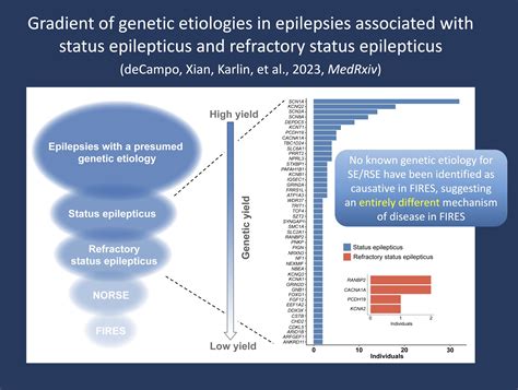 The genetics of FIRES and status epilepticus in 2023 | Beyond the Ion Channel