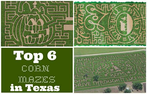 Top 6 Texas Corn Mazes | Pumpkin Patches in Texas