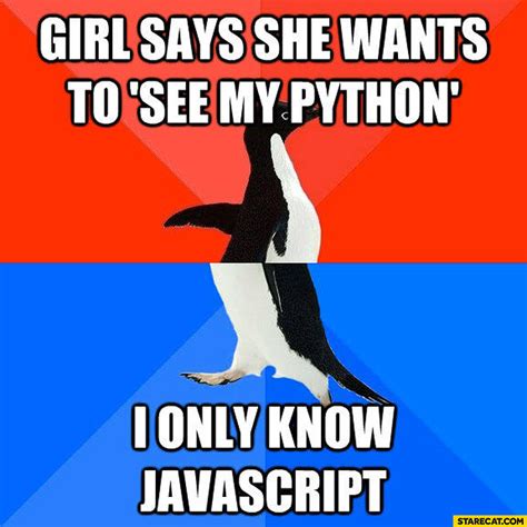 Image result for JavaScript vs Python Meme I Know
