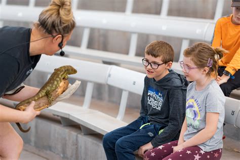 Fall Break Activities - Phoenix Zoo