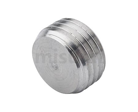 Screw-In Plugs Stainless Steel, Male Threaded, Hex Socket | MISUMI ...