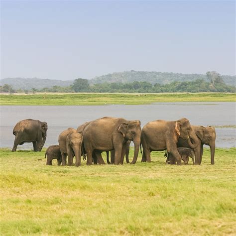 SRI LANKA HOLIDAY PACKAGES (2026) All You Need to Know BEFORE You Go ...