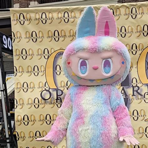 Buy Adult Labubu Costume Online In India - Etsy India