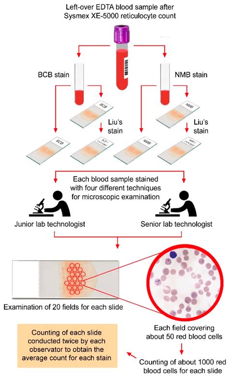 What Color Lab Tube For Reticulocyte Count at Melba Carey blog