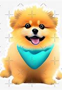 Image result for Baby Teacup Pomeranian Puppy