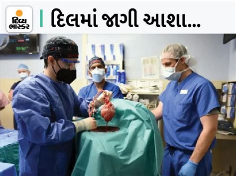 Pig heart transplant in human body, now the patient's condition has ...