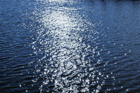 Dark Sea 的图像结果